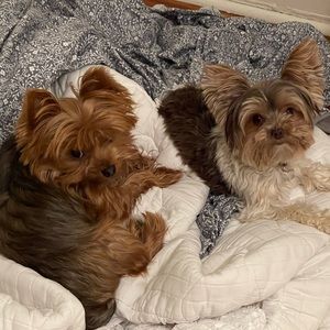 Meet your Posher, Mary beth